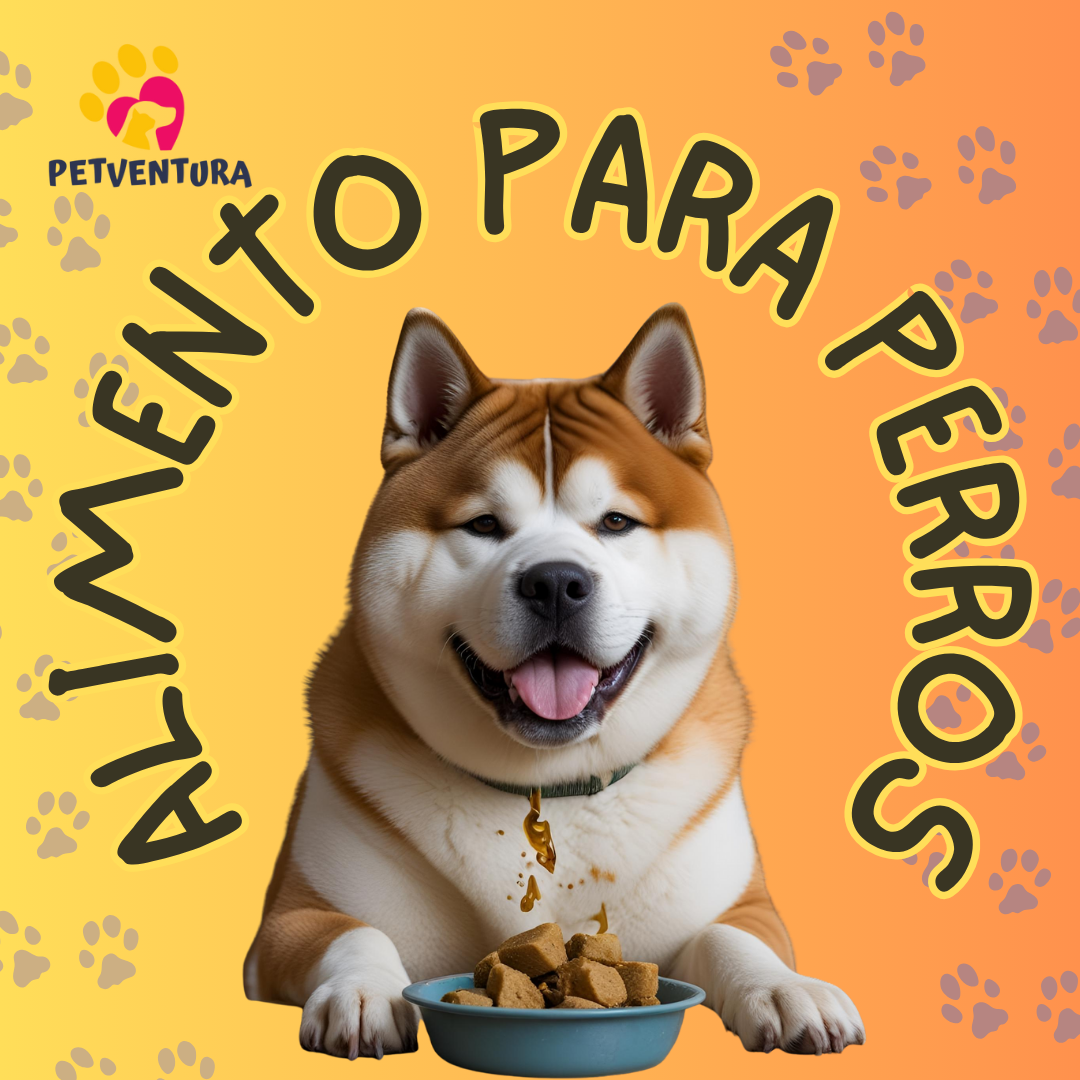Alimentos para perros (variedades)