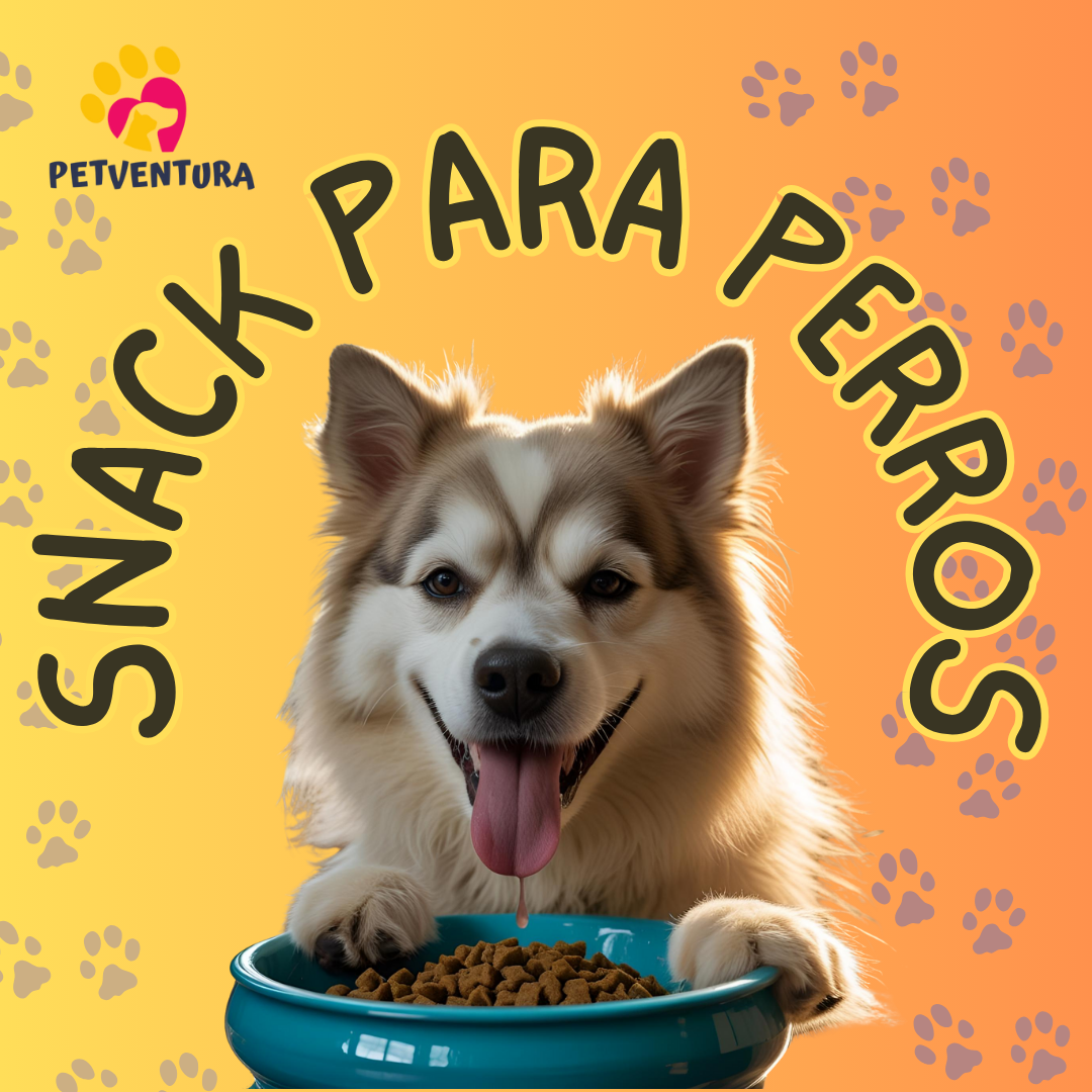Snack húmedos y secos para perros